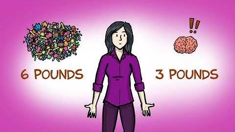 🧬 Immunoinformatics in Human Microbiome | 👩‍⚕️ Nusrat Jahan Setu | 🏫 Gono Bishwabidyalay