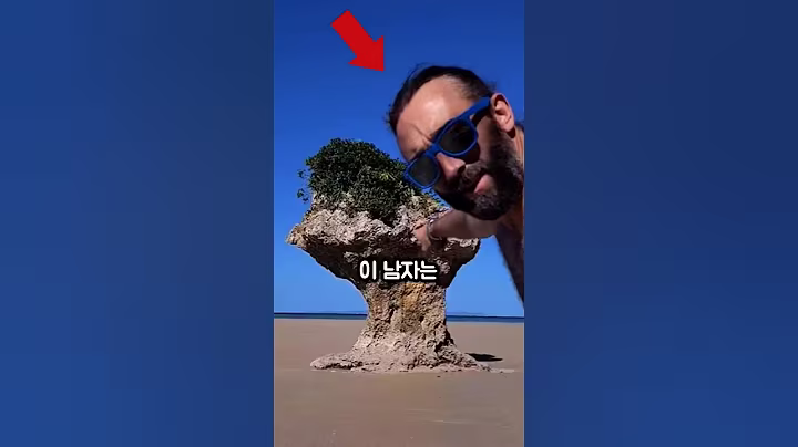 일본 해변에서 발견한 '모래밭'에 숨겨진 비밀, 돌이 사라지는 이유 ㄷㄷ