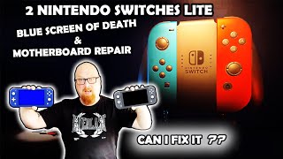 Nintendo Switch Lite Blue Screen repair and another Switch Lite with the motherboard issue.