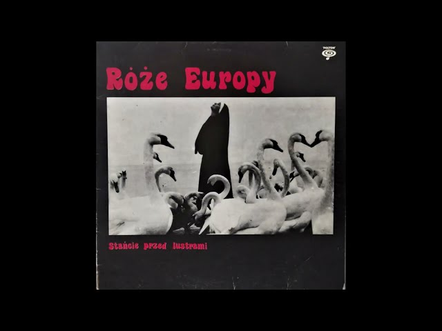 ROZE EUROPY - Mamy dla was kamienie
