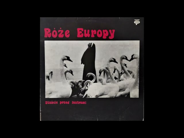 ROZE EUROPY  -  Mamy dla was kamienie