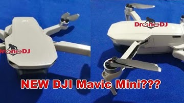 A DJI Mavic Mini. Is this the Spark 2, Mavic Air or some other new DJI drone?