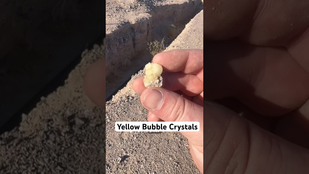Yellow Fluorite #crystals #rockhound #rockhounding #mojave #flourite #geology #rocks #gemstone #gems
