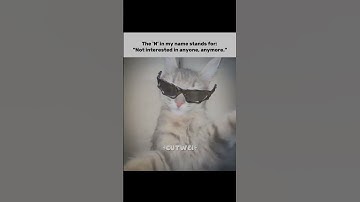 Relatable for you??😁😌 #aesthetic #1million #fypシ゚viral #popular #vibe #jungkook #relatable #single