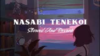 Nasabi Tenekoi [ Slowed and Reverb ] New Assamese Song | sleep and relaxing Song | Lofi song