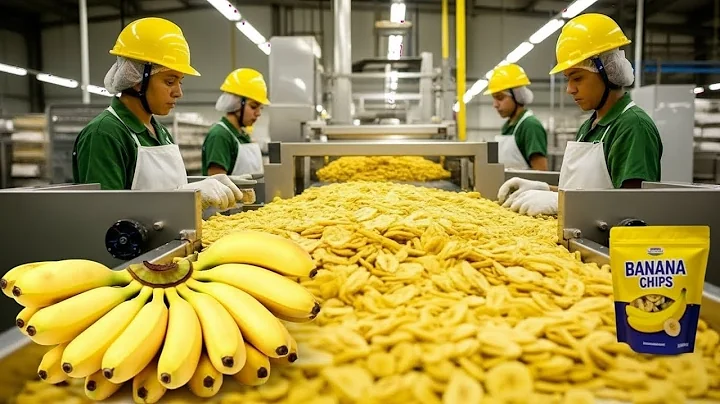 Inside a Banana Chips Mega Factory: Processing Millions of Bananas with Modern Technology