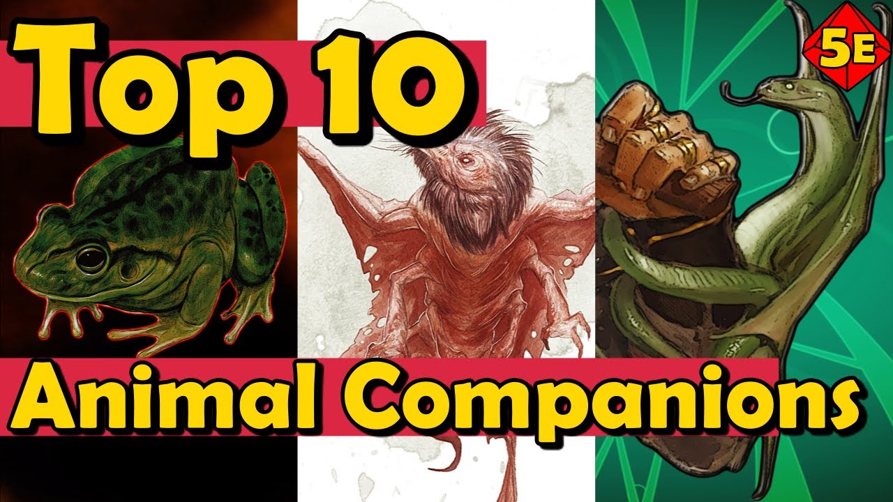 Top 10 Best Animal Companions For Beast Master Rangers in DnD 5E YouTube