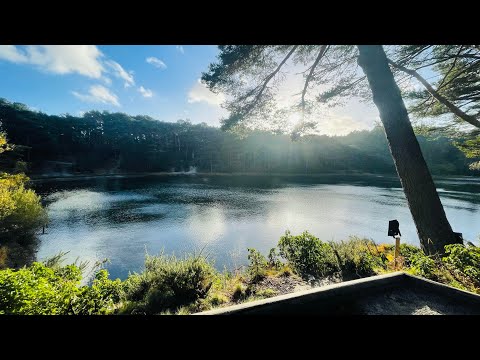 English Cottage Vacation
