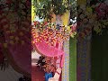 my new tent House support me