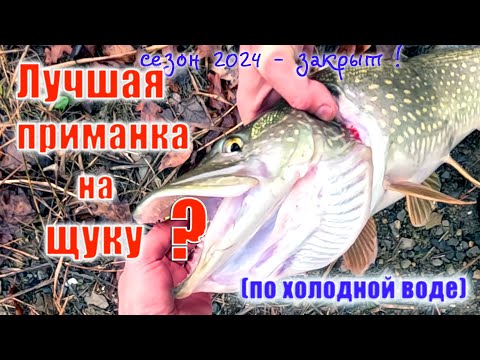 Закрытие сезона 2024.