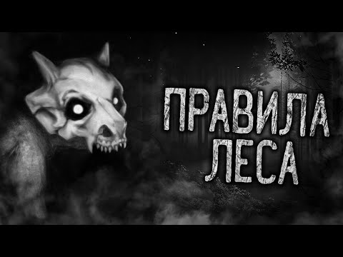 ПРАВИЛА ЛЕСА! Страшные истории на ночь. Страшилки. Жуткие истории
