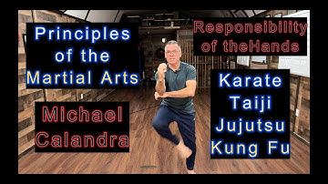 Principles of Martial Arts #11 "Responsibility of the Hands" #MichaelCalandra #isshinryukarate