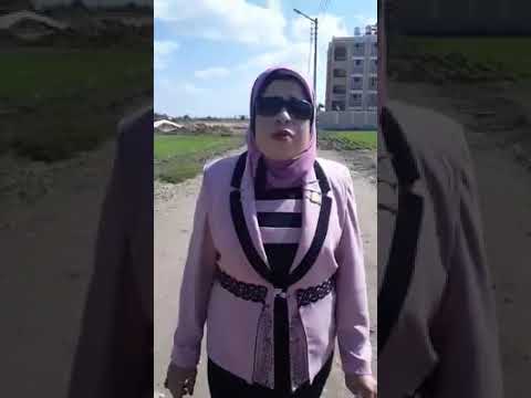 مدرسة صلاح سالم التجريبية للغات بمنية النصر تستغيث