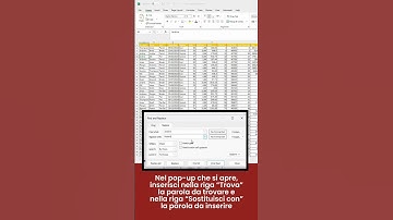 2 parole + 1 click = sostituire in Excel semplice e veloce! #exceltips #trucchiexcel #thularis