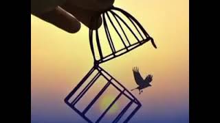 Ud Jayega Ek Din Panchi