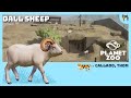 PLANET ZOO - Dall Sheep Speed build