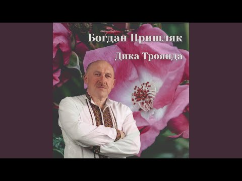 Богдан Пришляк - Поцілуй