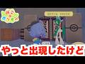 【ぽこあポケモン】レアポケモンがやってきた!でもなぜか出現しないポケモンも【ぽこポケ】