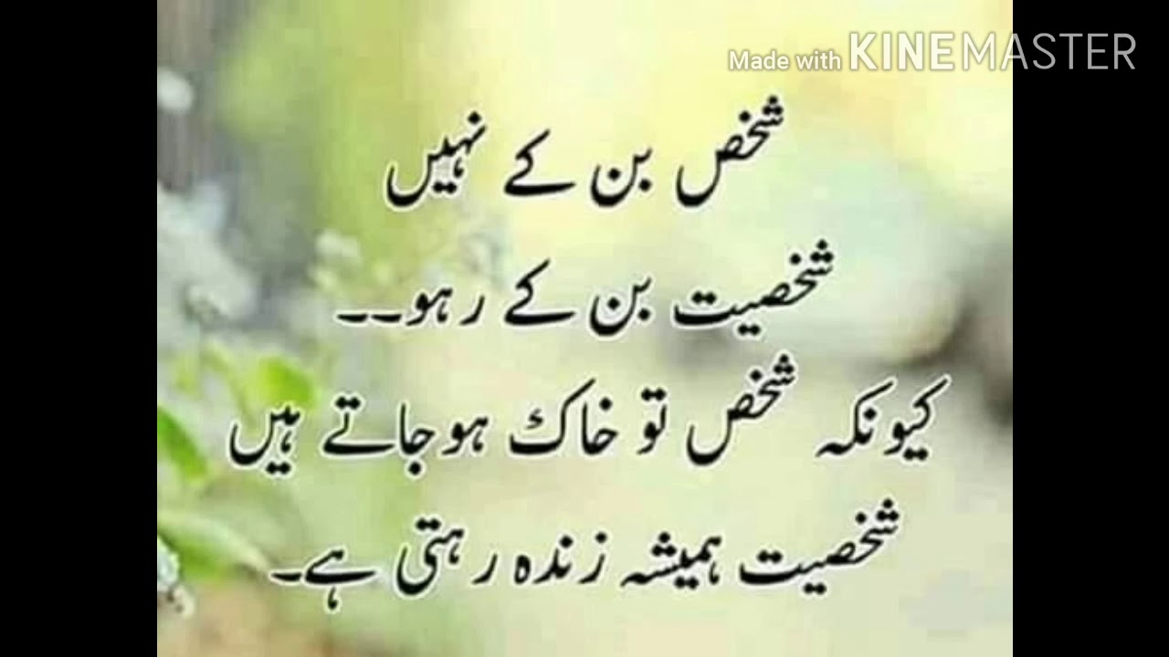 BEST LIFE CHANGING QUOTES IN URDU YouTube