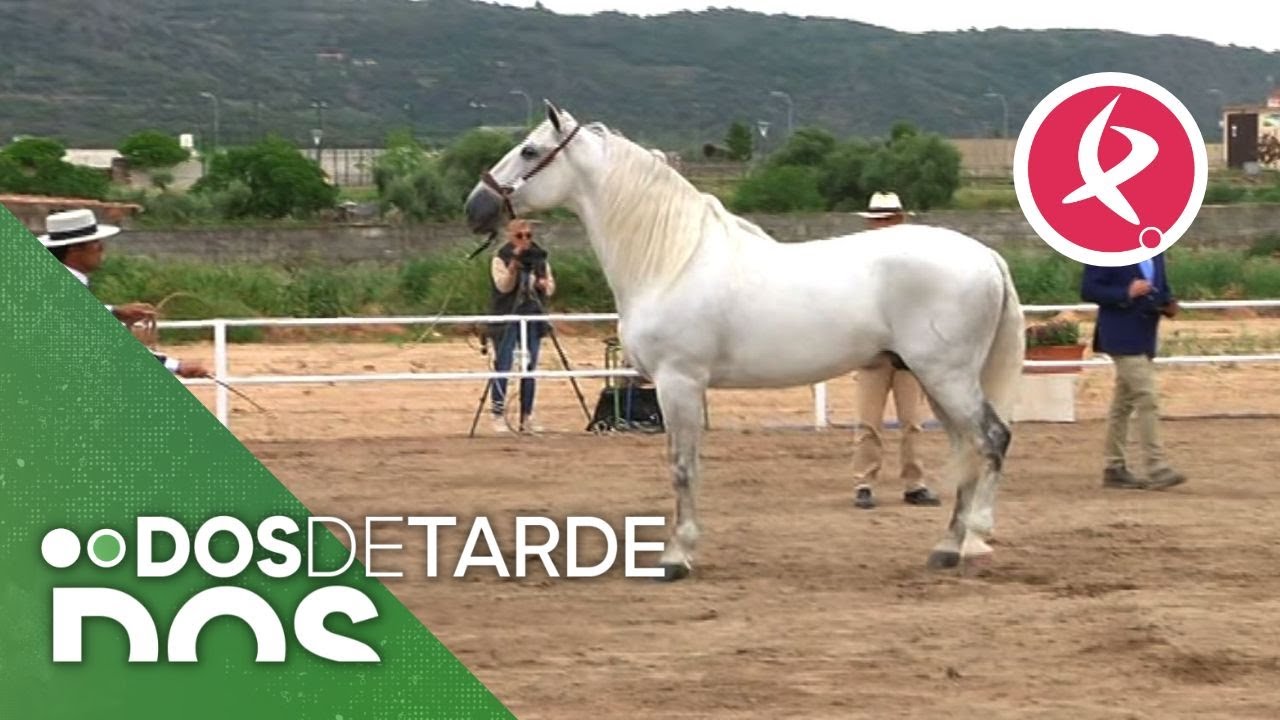 Albalá, la capital equina | Dos de tarde