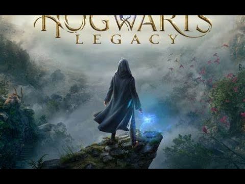 Hogwarts Legacy Intel I5 6600K Und AMD R9 390 8GB 16GB RAM 1080P