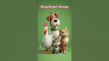 Let’s Play a Matching Game! | Matching Pairs Song for Kids | Fun Learning Through Rhythm