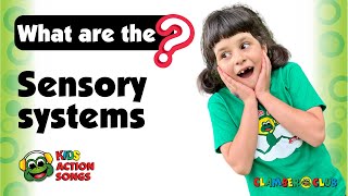 The Sensory Systems explained with Occupational Therapist Nicole Katzenellenbogen