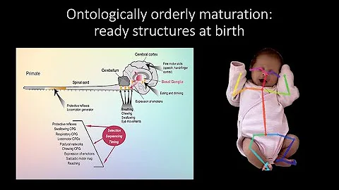 Early Detection of Neurodevelopment...  Derailment...