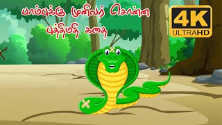 பாம்புக்கு முனிவர் சொன்ன புத்திமதி கதை | Tamil Stories for Kids | 4K