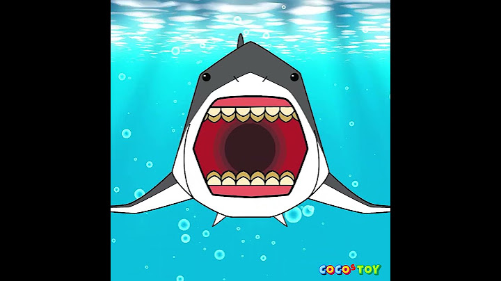 ENㅣGreat white shark song (백상아리송) M/V #ShortsㅣCoCosToy
