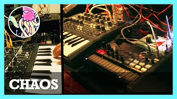 Modular Synth, Olegtron 4060 & MicroBrute Chaos Jam #TTNM