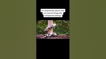 Would you want to be saved by robot snake tiktok future explored #shorts