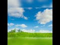 『君と光と青空と。』by Urakimiband2