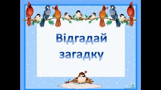 картинка: Зимуючі й осілі птахи Відгадай загадку