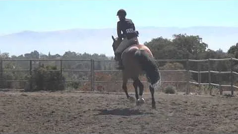 Gift of Diamonds and Sarah Hafner 6-29-14