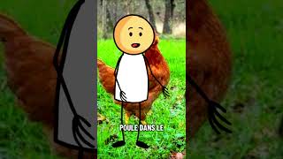 Chicken joke 🤣🤣🤣 #humor #animism #memes #funny #joke #comedy