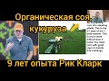 Органический No-till 9 лет Рик Кларк ч.2