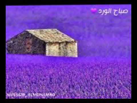 فيروزيات نغمة رنين نبقى سوا وصوتك بليل