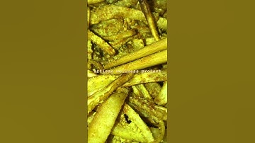 homemade parsnip fries: with cayenne sea salt nutritional yeast #dailyshorts #vlog #video