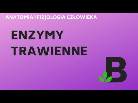 Wideo: Jaka Jest Rola Enzymów W Trawieniu