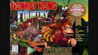 Donkey Kong Country  Funky Kong's Theme Song