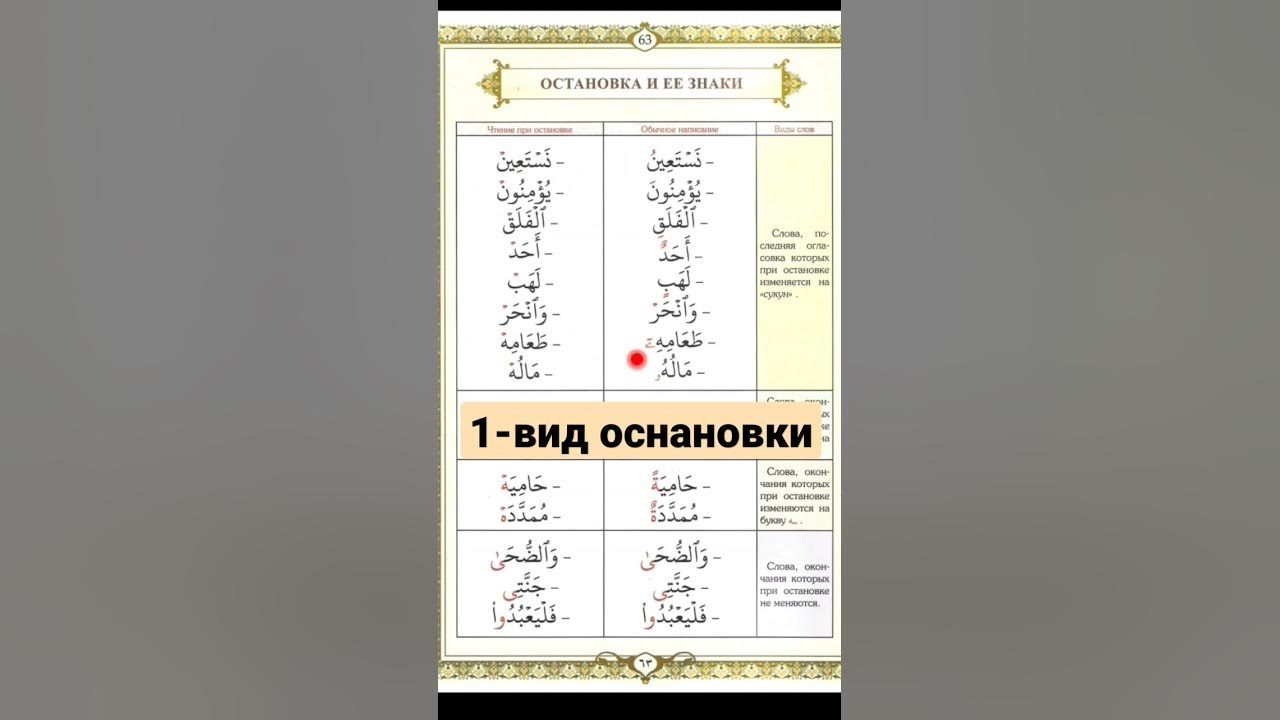 Остановки в конце аята. Обучение Корану и Таджвиду. #коран #таджвид ...