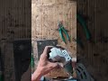 Services Provided:Angle grinder dismantling and assembling.Armature and bearing replacement.