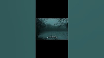 وَمَنْ أَعْرَضَ عَن ذِكْرِي فَإِنَّ لَهُ مَعِيشَةً ضَنكًا | محمد صديق المنشاوي | سورة طه