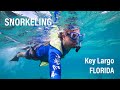 Большой Флоридский риф. Key Largo, Florida. Snorkeling