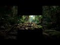 Tarantula in the Wild – Nature’s Hairy Hunter | Welcome to NVOOVN | A World of Cinematic Animat.