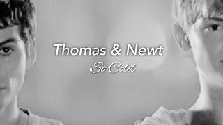 Thomas & Newt So Cold
