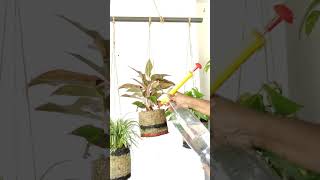 #organicgarden #coconutshellplanter #flowerplanter #plants #craft #indoorplanterideas #homedecor