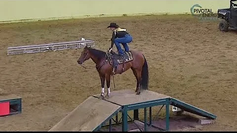 Hannah Howe and High Flying X Tex at the Cowboy Up Challenge 2025 Calgary Stampede