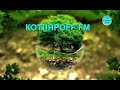 КОТЛЯРОFF FM  (04. 04. 2023) Горы из вады.